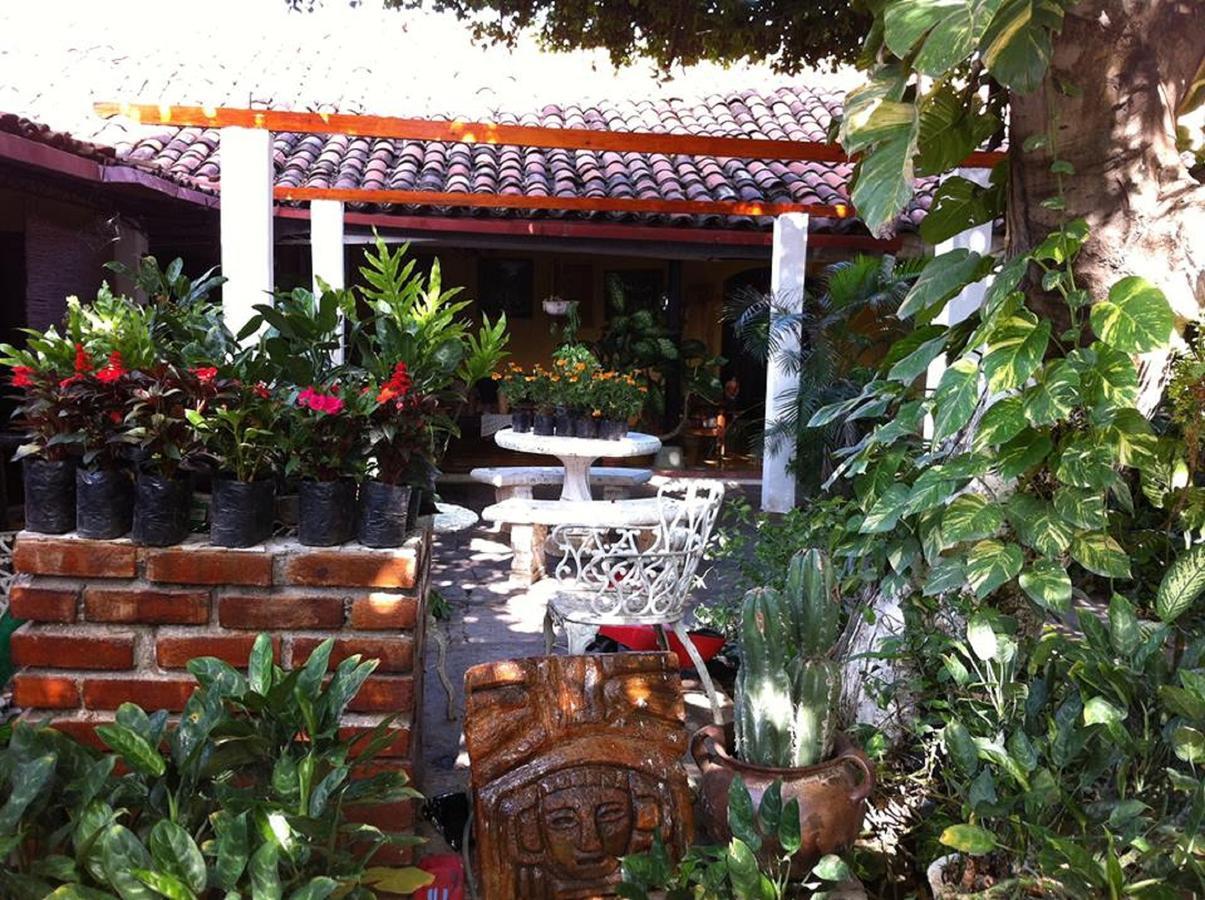 Hotel Caleta San Miguel Exterior photo